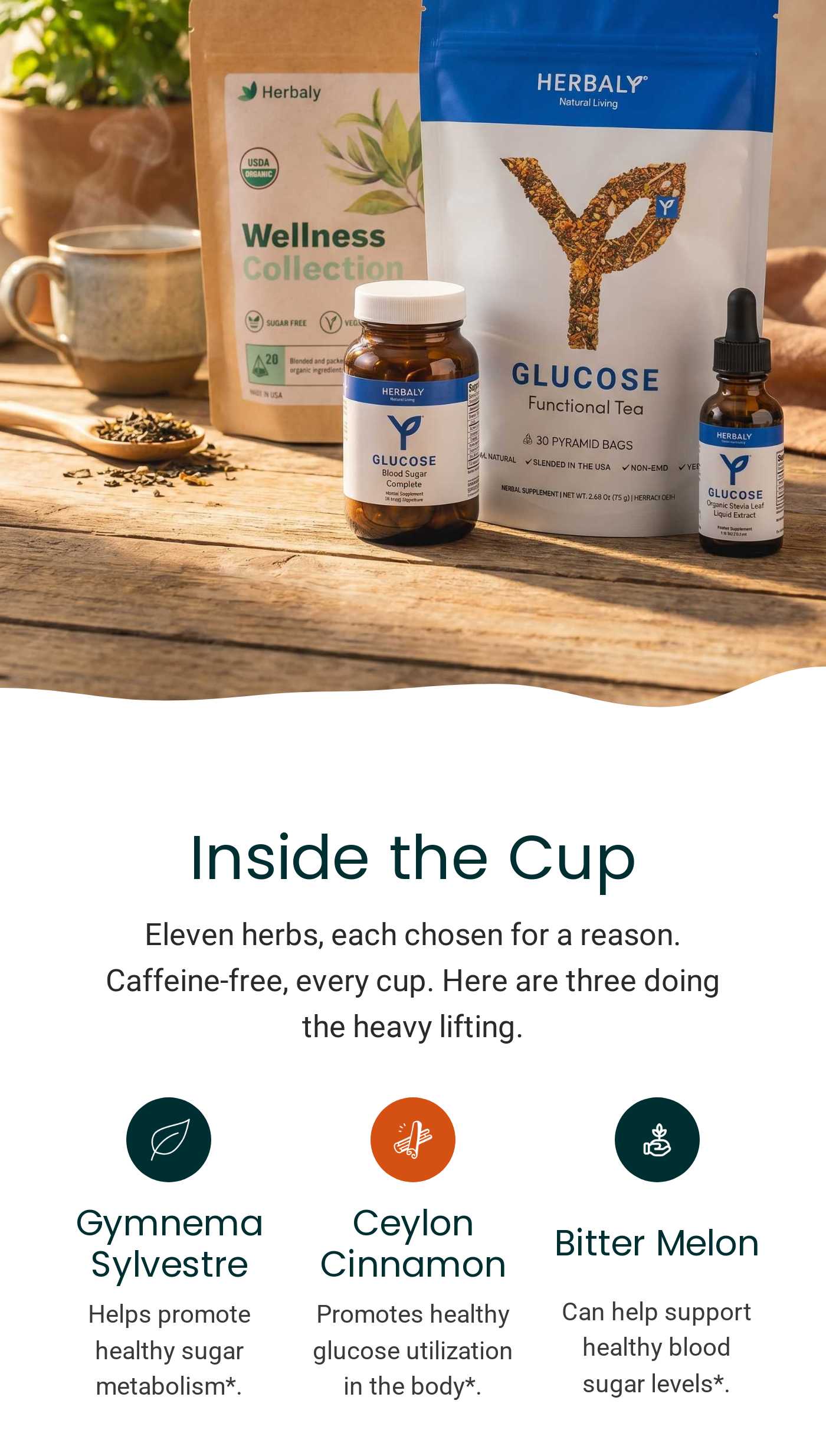 Herbaly Glucose products. Inside the Cup: Eleven herbs, caffeine-free. Spotlight on Gymnema Sylvestre, Ceylon Cinnamon, Bitte